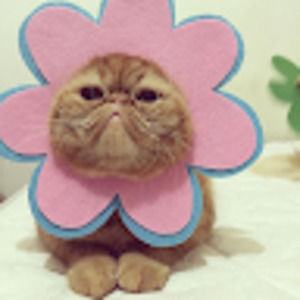 Meet your Posher, Betty